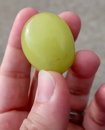 Best grapes in the whole entire world.